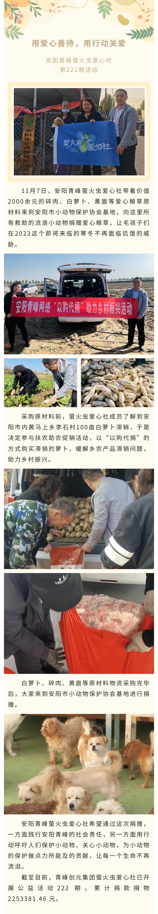 用愛心善待，用行動關愛--青峰創(chuàng)元集團螢火蟲愛心活動第222期報道